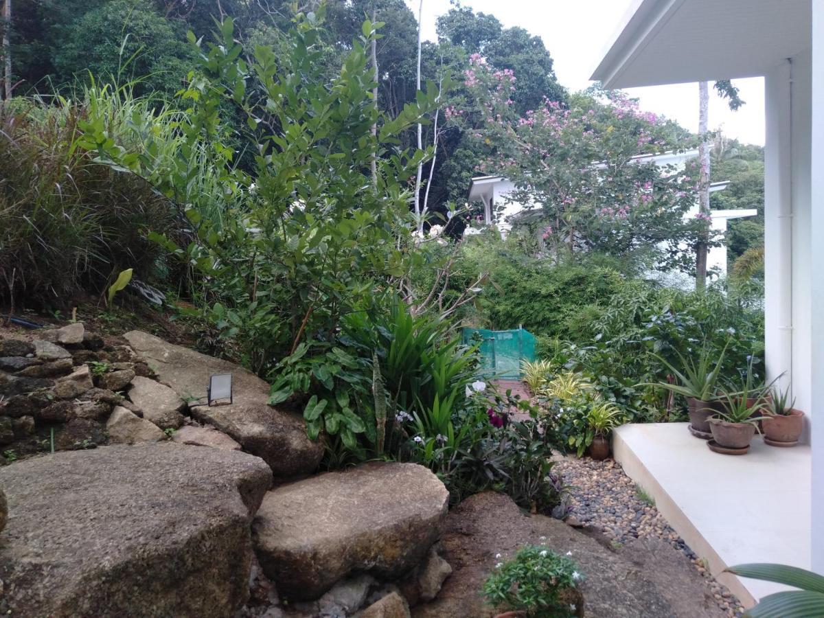 Perfect Sea View Mountain Villa Koh Samui チャウエン エクステリア 写真