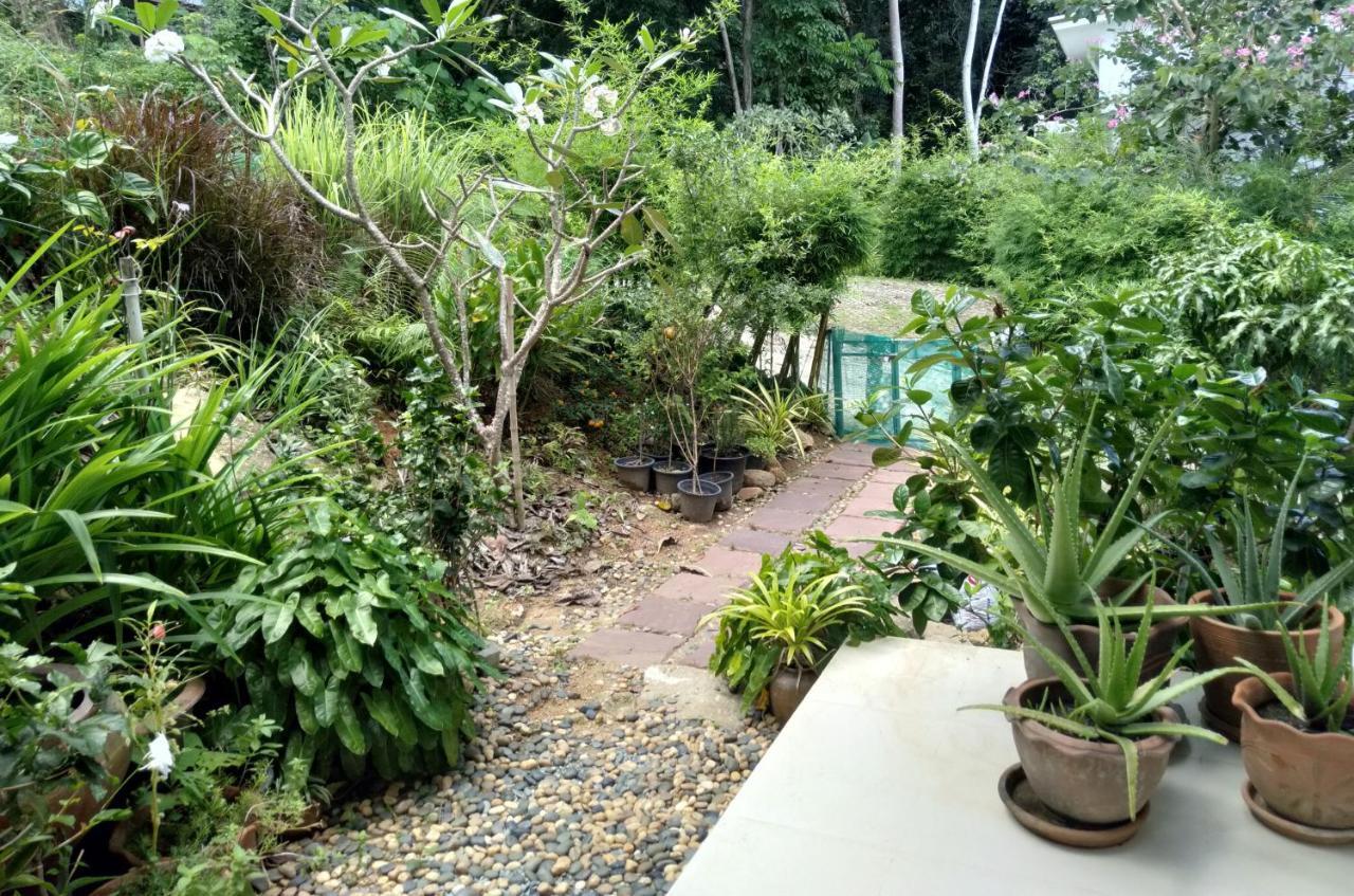 Perfect Sea View Mountain Villa Koh Samui チャウエン エクステリア 写真