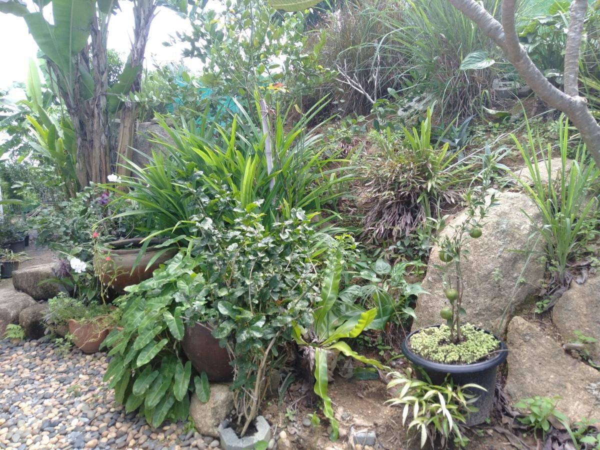 Perfect Sea View Mountain Villa Koh Samui チャウエン エクステリア 写真